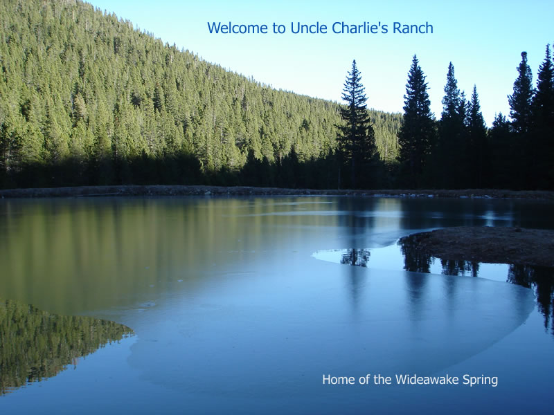 Just west of Denver in the Rocky Mountains, on Uncle Charlie's Ranch, lies a spring with special and unique healing properties. Come visit us...